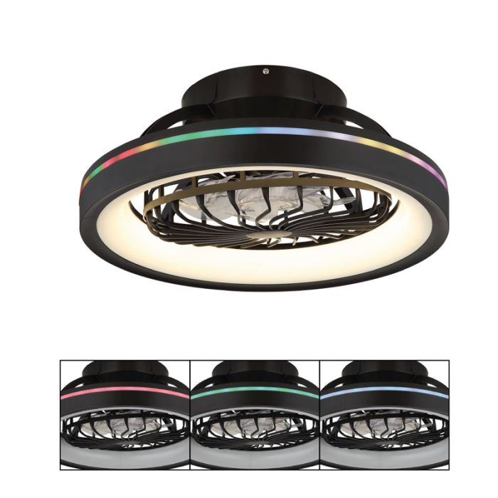 Black modern ceiling fan plastic, Lenard, 40W, warm to cold white adjustable LED, with remote control