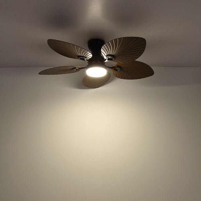 Brown rustic ceiling fan metal, Naduah, 22W, white switch LED, with remote control