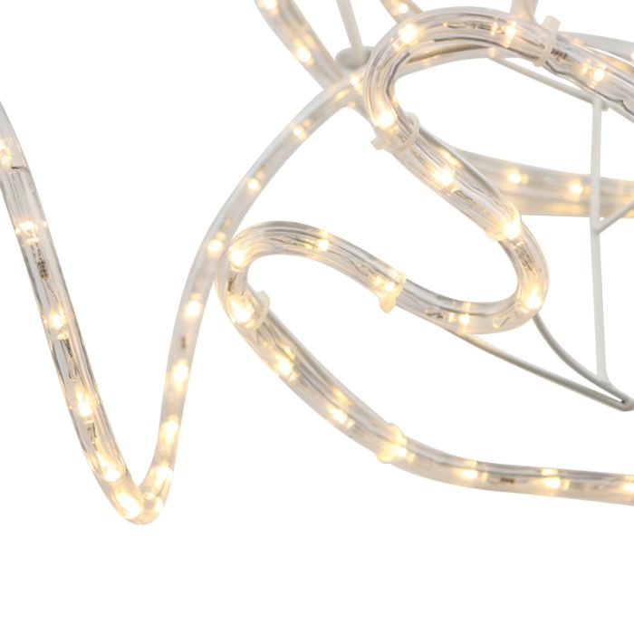 Reindeer with sleigh rope lights