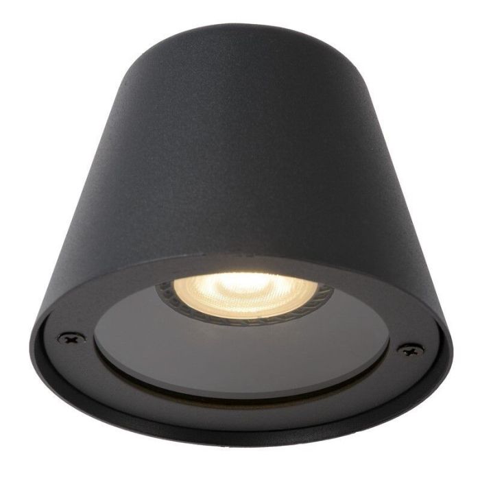 Anthracite outdoor light modern, Dingo, IP44