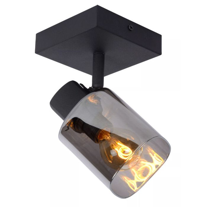 Grey ceiling spotlight classic, Alion