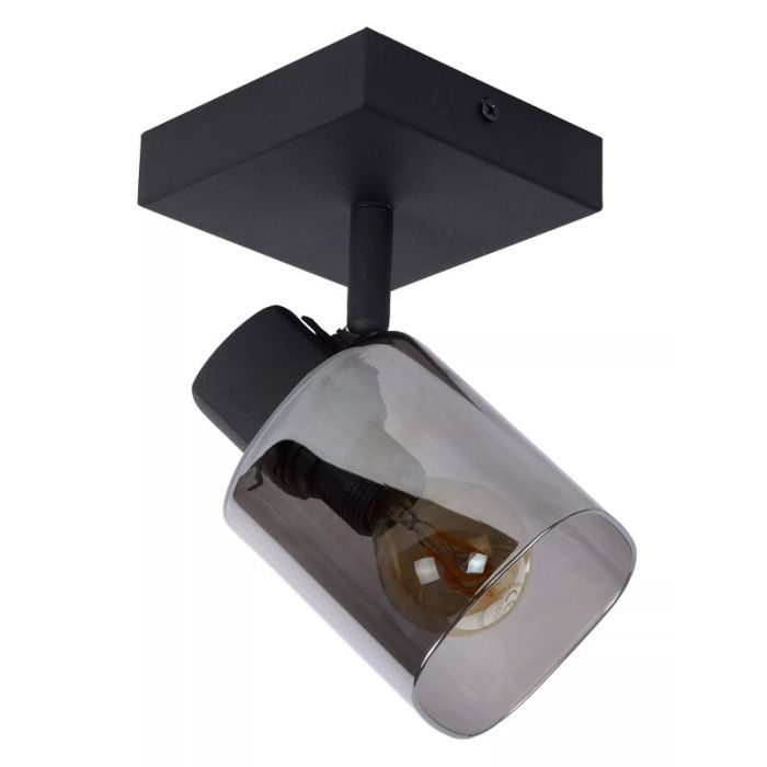 Grey ceiling spotlight classic, Alion