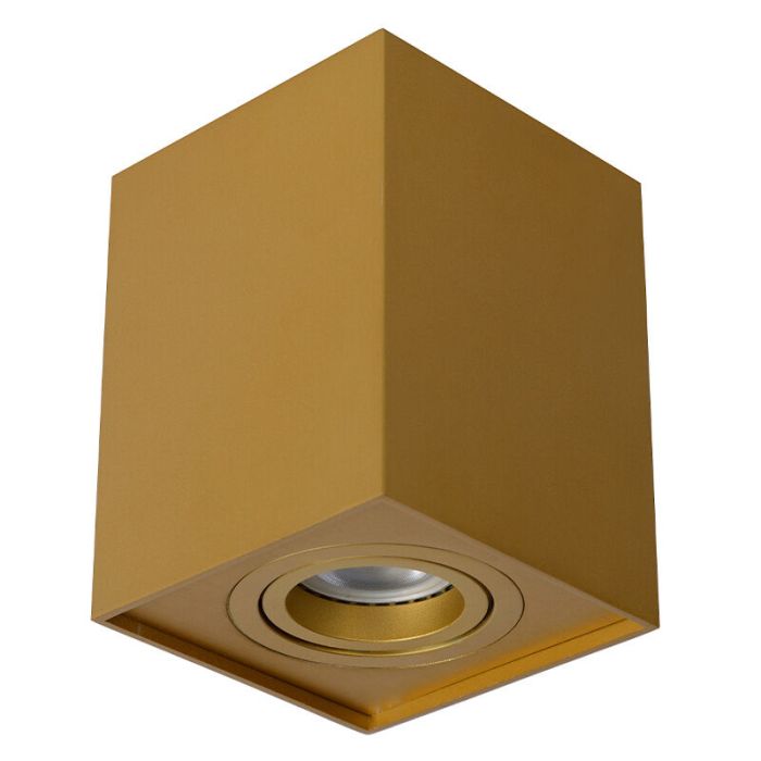 Golden surface mounted downlight modern, Tube
