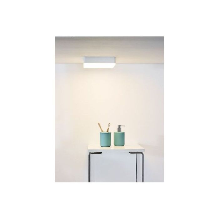 White flush ceiling light modern, Ceres, 30W, 3000K LED, IP44