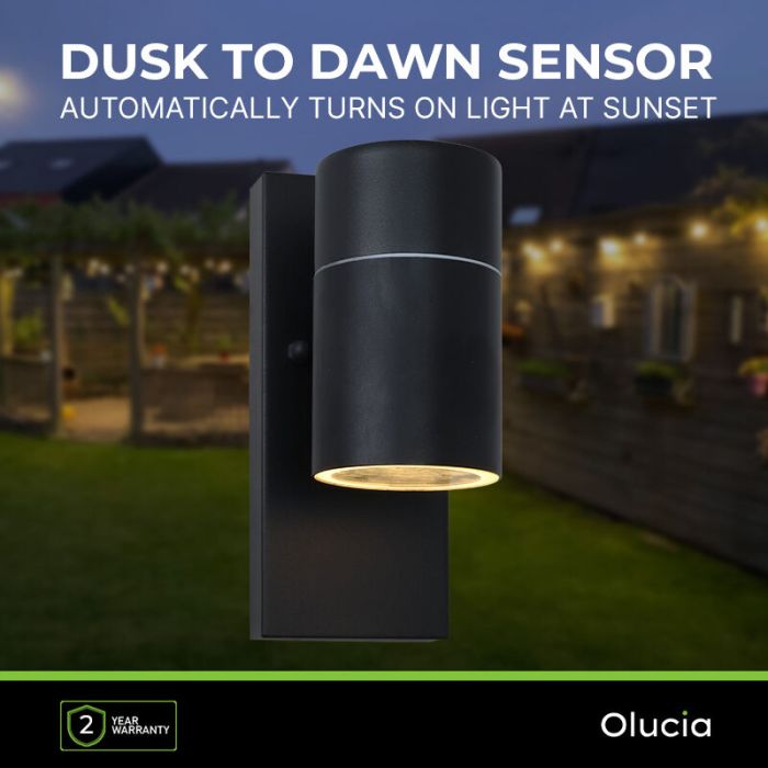 Modern outdoor wall light with dusk to dawn sensor black, Pedro, IP44