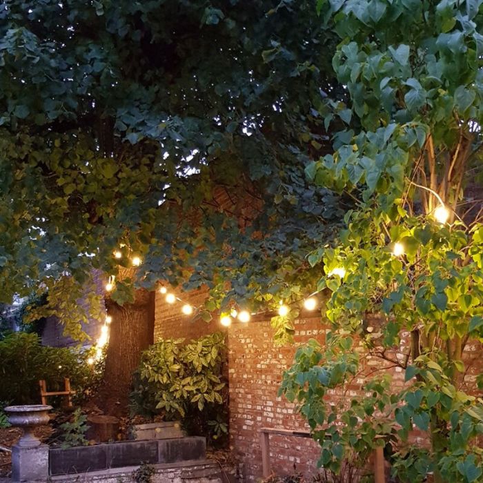 20m string light with 40 milk white bulbs