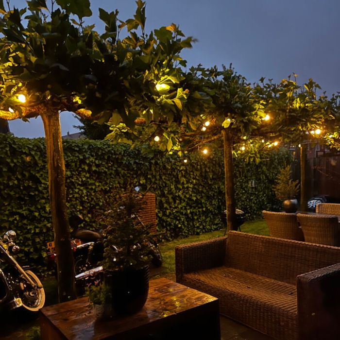 25m string light with 25 dimmable transparent bulbs