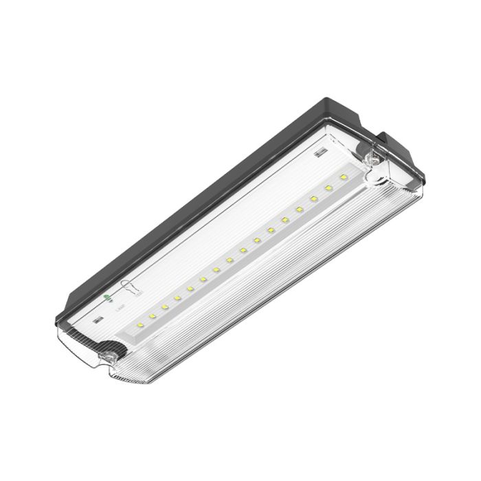 Black emergency lighting incl. pictograms, Pedram, 3W, 6500K LED, IP66