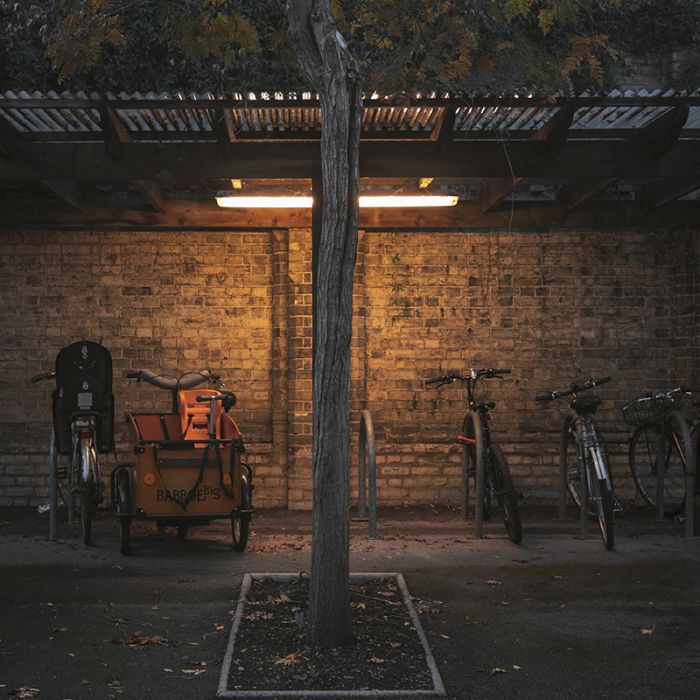 5ft LED Tube Light - Bisolux - 22W - 3000K - Starter Included