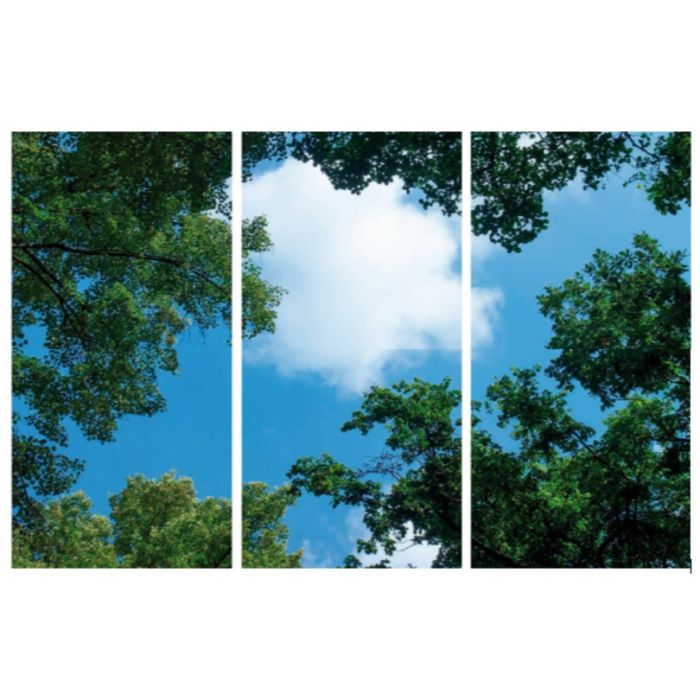 Photo print cloud with forest - set of 3 acrylic plates with print, for 120x60 cm LED panels