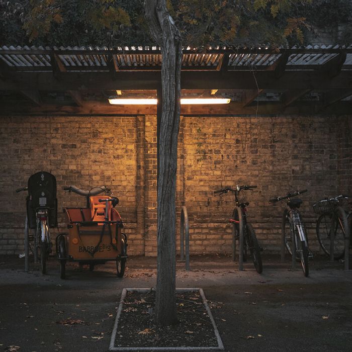 2ft LED Tube Light - Bisolux - 9W - 3000K - Starter Included
