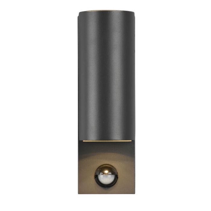 Anthracite outdoor wall light with motion sensor modern, Laurien, IP44