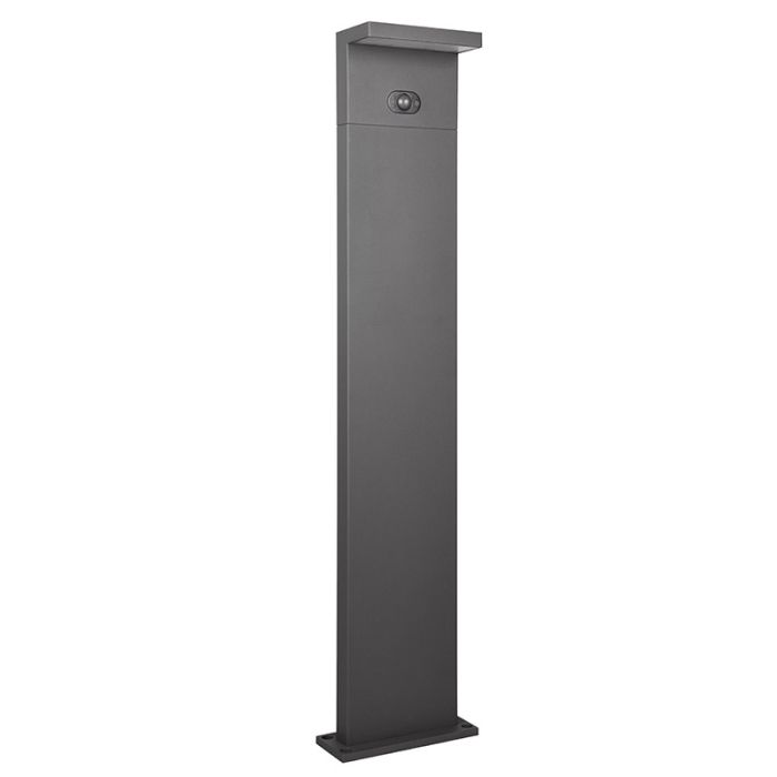 Anthracite solar outdoor floor lamp modern, Nesrin, 5W, white switch LED, IP65