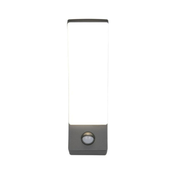 Anthracite outdoor wall light with motion sensor modern, Popke, 12,5W, 4000K LED, IP44
