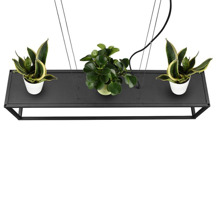 Black pendant light modern, Fabrice