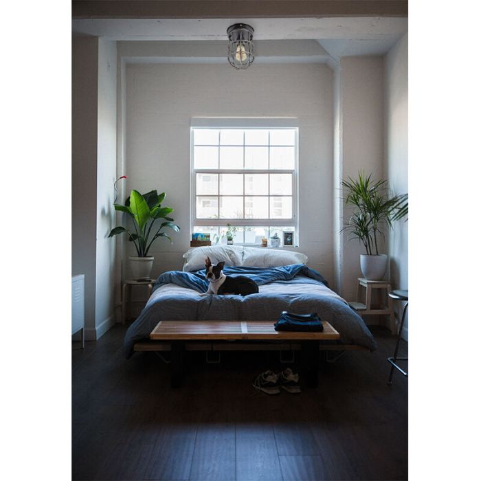Industrial ceiling light black, Nova
