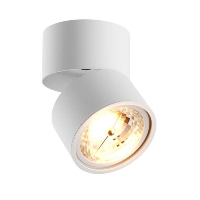 Modern ceiling spotlight white, Reinout